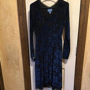 Royal Blue and Black Velvety Dress